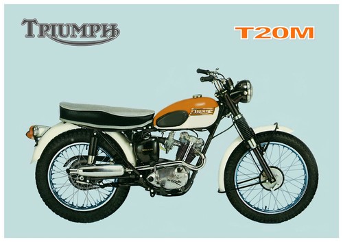 Triumph poster t20 t20m - poster,