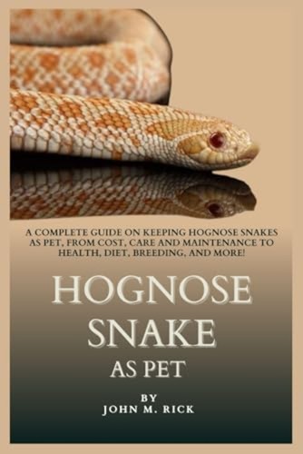 Hognose snake pet a - hognose,