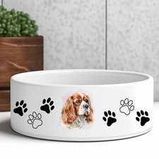 Ceramic Dog Food - Water Bowl