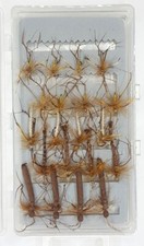 Daddy Long-Legs & Box