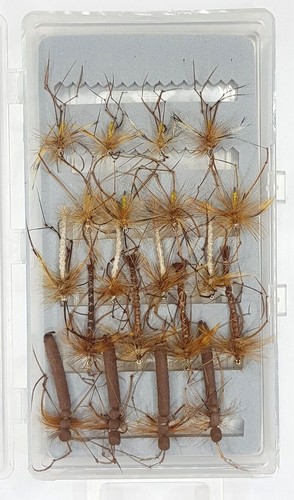 Daddy long legs box - daddy, &