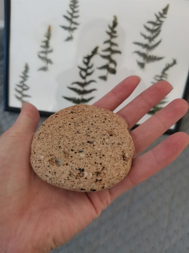 Beach pumice rock stone - beach,