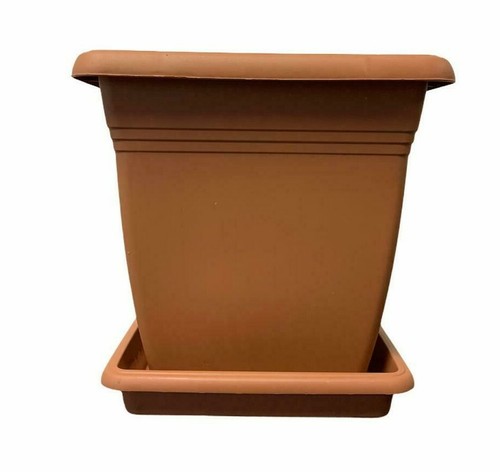 Square plant pots and - and, saucers