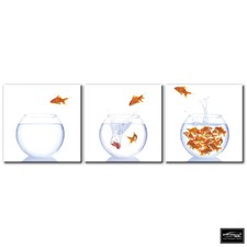 Animals Goldfish Bowls   BOX