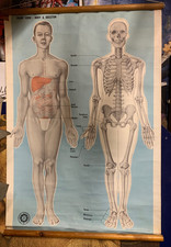 Original Antique canvas