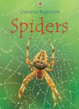 Spiders (Usborne Beginners) By