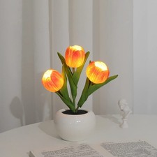 LED Tulip Night Light, Battery
