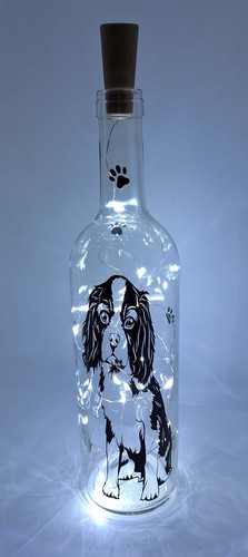 Cavalier king charles light - charles,