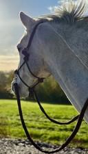 Soft Rope Halter/Bitless