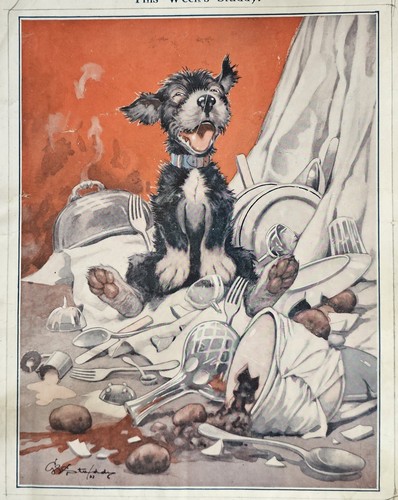 1922 studdy dog print - 1922,