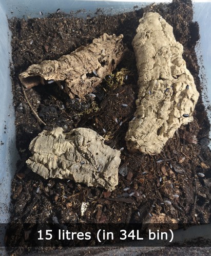 Organic isopod magic mix - organic,