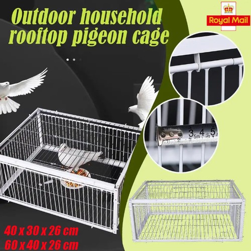 Pigeon trap cage single way - trap,