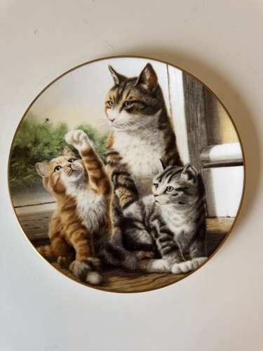 Coalport collector cat plate - collector's,