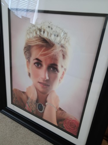 Adams diana lenticular - jj,