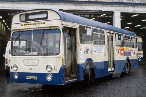 Bus photo darlington - -,