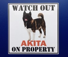 WATCH OUT JAPANESE AKITA ON