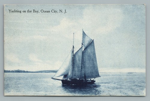 Great egg harbor bay - great,