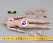 FLAGSET 73051 73052 1/6 Scale