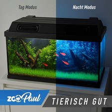 Zoopaul daynight led - led, 🦎