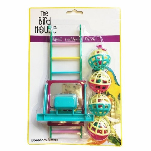 Happy pet fun the - happy,