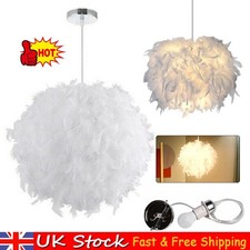 UK Fluffy Feather Light/Lamp