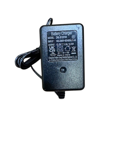 12v mains charger for - for, kids