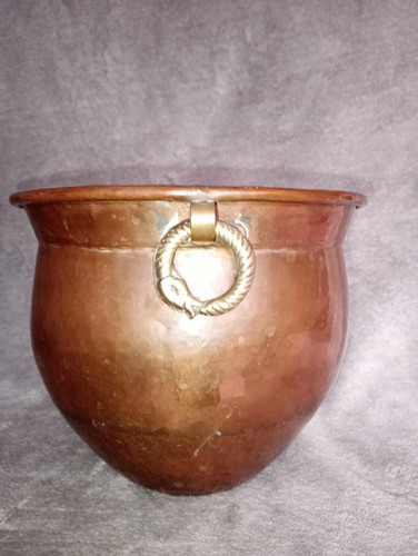Antique copper plant - antique, twin