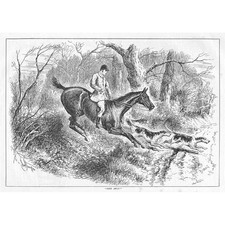 JOHN STURGESS 'Gone Away' Fox