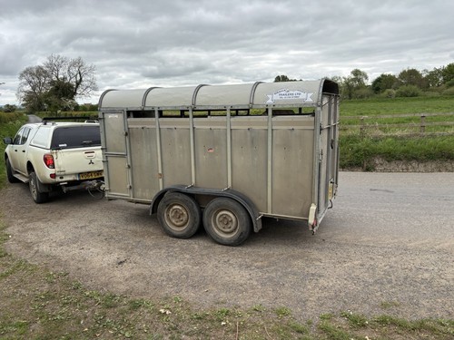 Graham edwards cattle - graham,