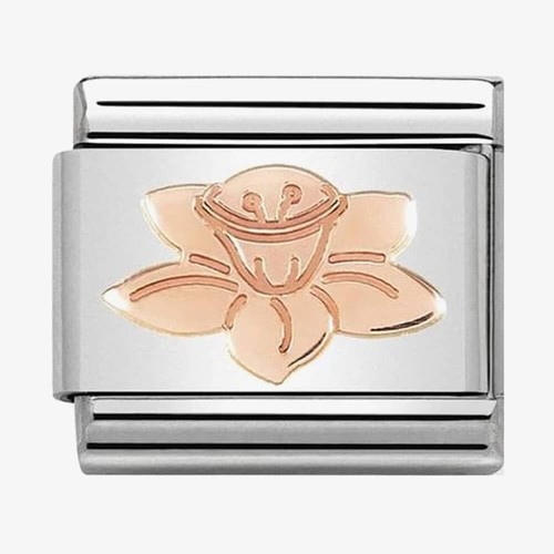 Genuine nomination classic - classic, 9kt