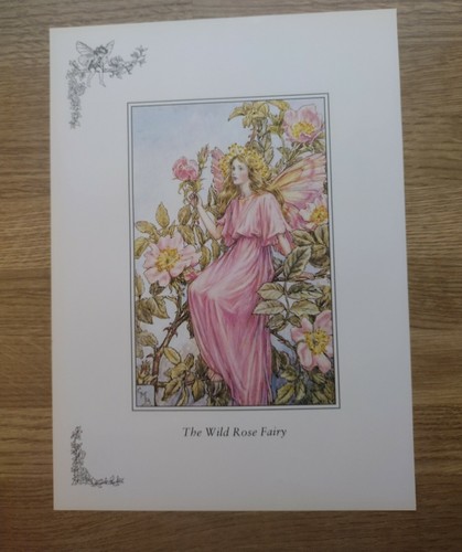 Cicely mary barker wild - barker,