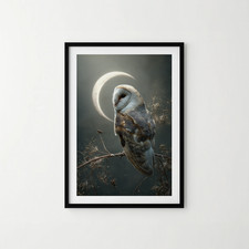 A4 Barn Owl Crescent Moon Art