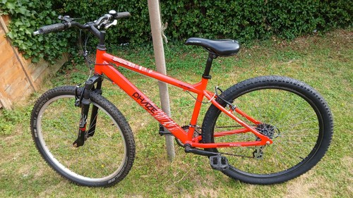 Mountain bike - mountain,