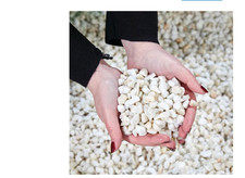 Suburban Stone 20mm Polar