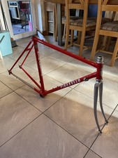 Vintage Retro Pinarello