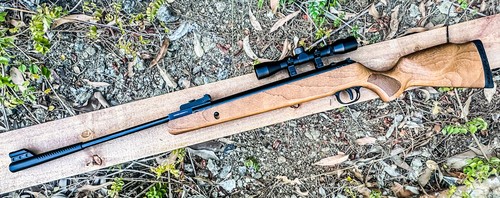 Hunting air pellet - air, gun