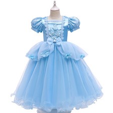 Cinderella Princess Fancy