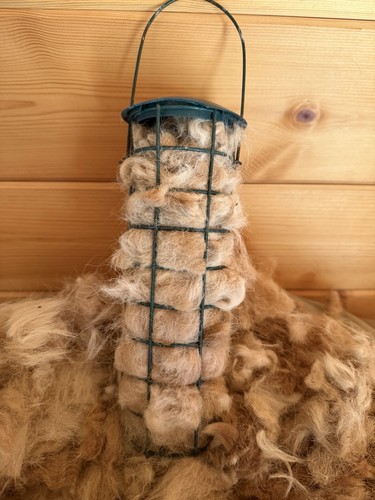 Alpaca fleece wool bird - fleece/wool,