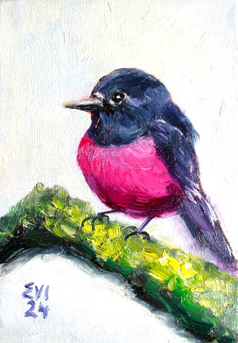 Pink robin original oil - pink,