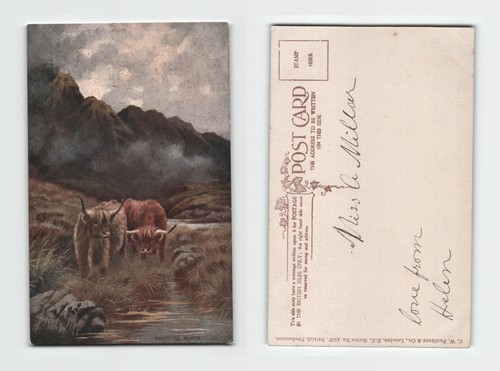 Postcard scottish highlands - scottish,
