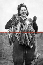 F007154 Land Girl Pests Department South Wales 1940s WW2