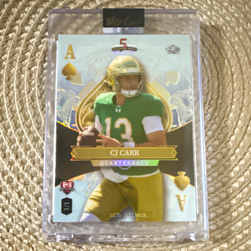 Panini 2024 ace wild card - wild,