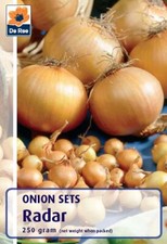 Radar Onion Sets 250g Winter
