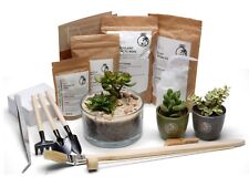 Terrarium Kit for Succulents