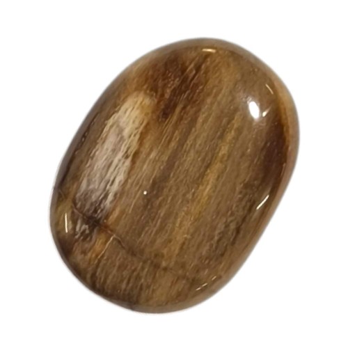 Petrified wood medium - wood, oval