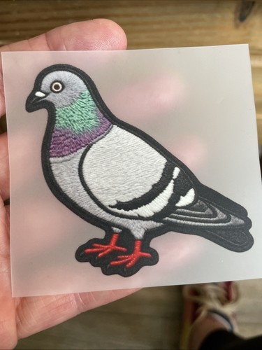 Racing pigeon heat transfer - pigeon,