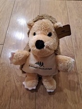 Cute Soft Plush Hedgehog teddy