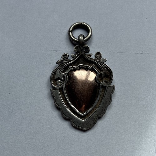 Silver ewart cricket cup medal - ewart,