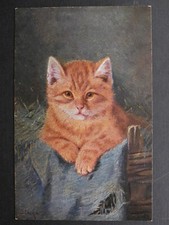 4 x M STACKS Beautiful Cats Kittens *Vintage* Artist Drawn c1910