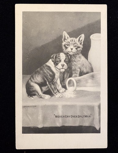 Vintage 1914 boston - boston, terrier